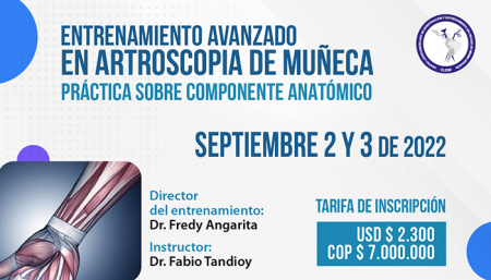 Entrenamiento Avanzado en Artroscopia de Muñeca con práctica sobre componente anatómico