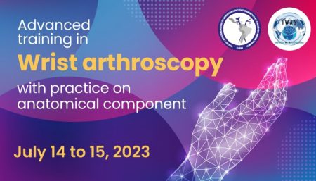 Advanced training in wrist arthroscopy with practice on anatomical component