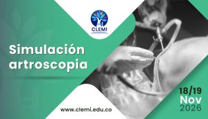 Simulación Artroscopia